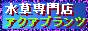 �A�N�A�v�����c