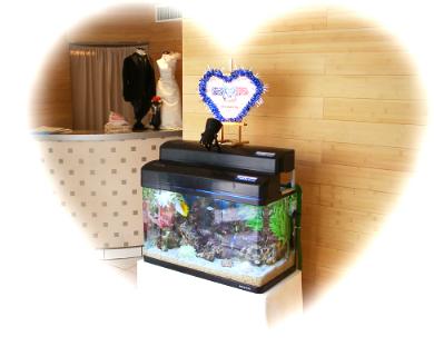 �u���C�_��,�C�x���g�ɐ��������^�����܂�