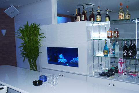 AQUA BAR�@�W��������