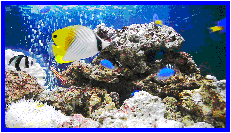 �M�ы��E�C�������������^���������e�i���X
