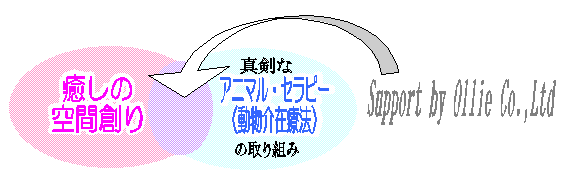 ���������^���������e�i���X�@�I�[���[